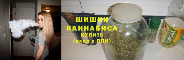 хмурый Белокуриха